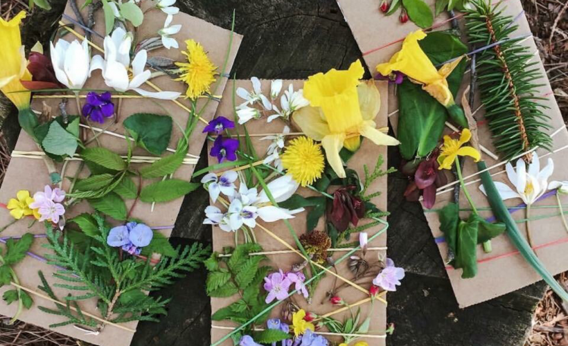 Try weaving flowers on cardboard with rubber bands!
