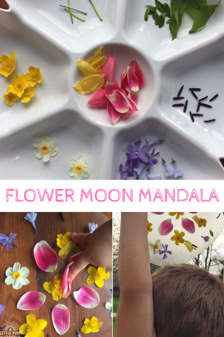 Celebrate May's Flower Moon with your little nature lover. Your child will love these flower activities!