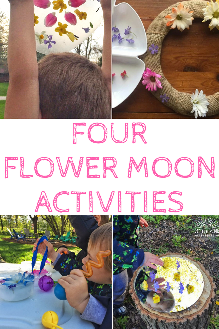 Celebrate May's Flower Moon with your little nature lover. Your child will love these flower activities!