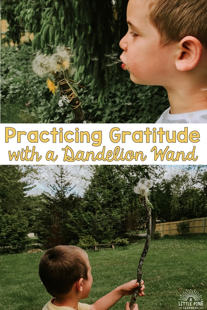 Practice gratitude with this simple and beautiful nature wand made of dandelions and flowers. This will become a new spring tradition that you and your child will love!