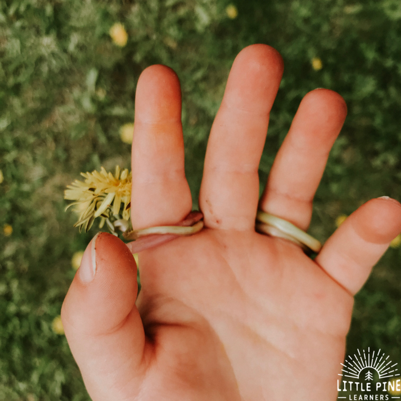 Make a dandelion ring today!