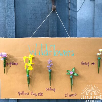 Are you looking for a fun and hands-on way to learn wildflower identification with your kids? Try this activity to get kids outdoors and identifying these beautiful pieces of nature. Whats the best part?! When you are finished, you will have a beautiful piece of nature art for your home!
