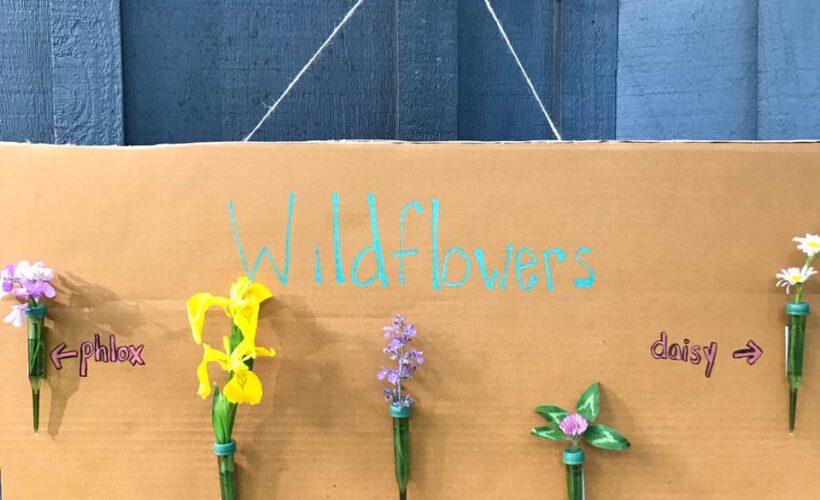 Are you looking for a fun and hands-on way to learn wildflower identification with your kids? Try this activity to get kids outdoors and identifying these beautiful pieces of nature. Whats the best part?! When you are finished, you will have a beautiful piece of nature art for your home!