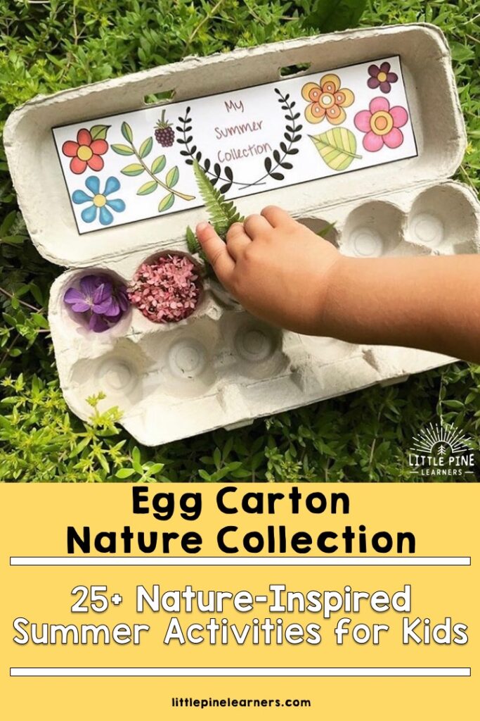25+ Nature-Inspired Summer Activities for Kids • Little Pine Learners