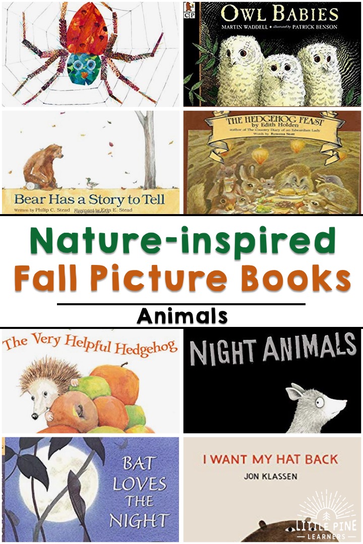 Check out 50+ nature-inspired fall picture books for kids right here in one spot! You will find books about pumpkins, apples, spiders, bats and much more.
