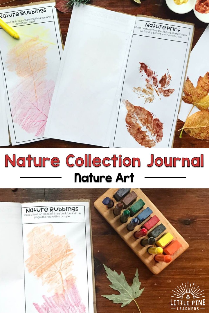 Nature journal for kids!