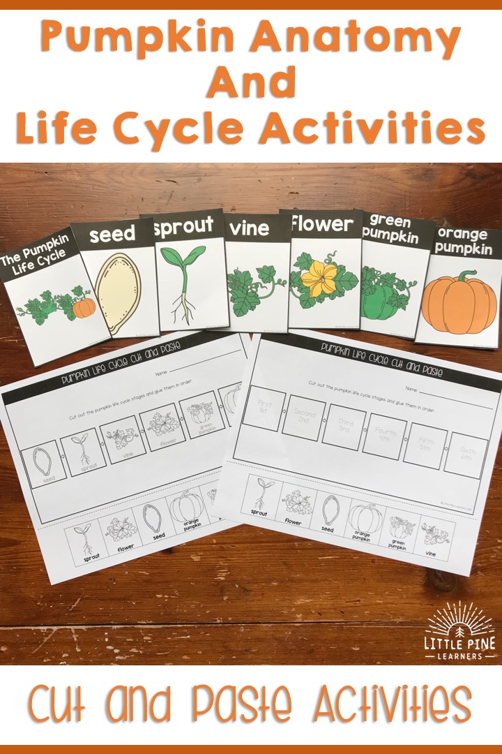 Looking for fun ways to teach fall nature anatomy and life cycles to children? Ideas for beautiful posters, matching games, vocabulary cards, cut and paste activities, and nature word building mats are all included in this post! Don't miss out on these ideas if you are teaching about apples, bats, pumpkins, turkeys, or spiders this year.