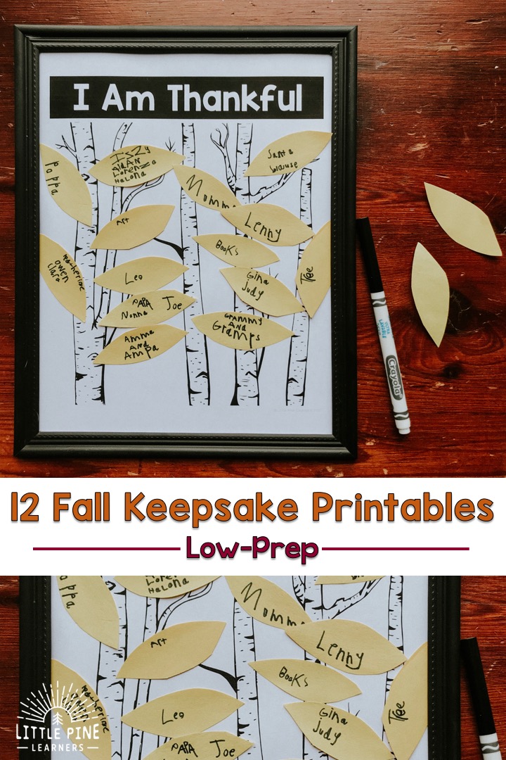 Check out 12 low-prep fall keepsake printables filled with spider, bat, pumpkin, apple and other fall nature themed activities! 