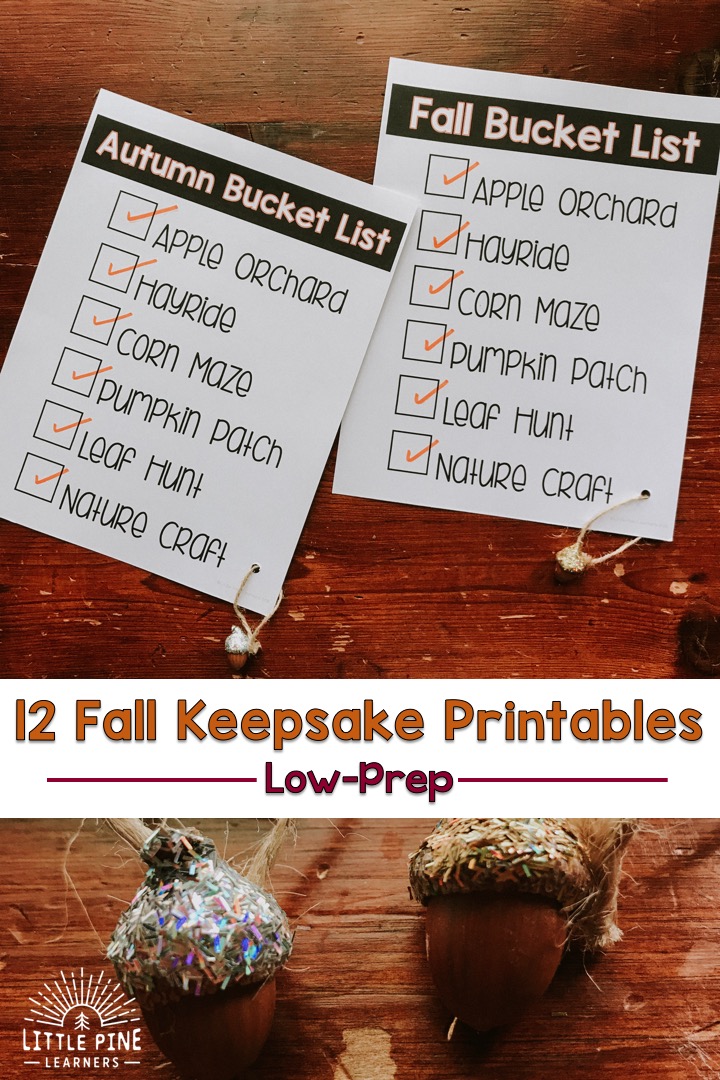 Check out 12 low-prep fall printables filled with spider, bat, pumpkin, apple and other fall nature themed activities! 