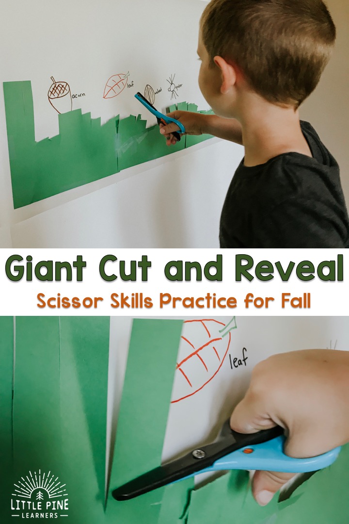 Try this activity for a fun way to work on scissor practice, gross motor skills and fall nature vocabulary words.