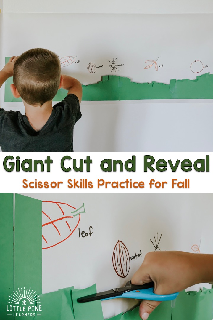 Try this activity for a fun way to work on scissor practice, gross motor skills and fall nature vocabulary words.