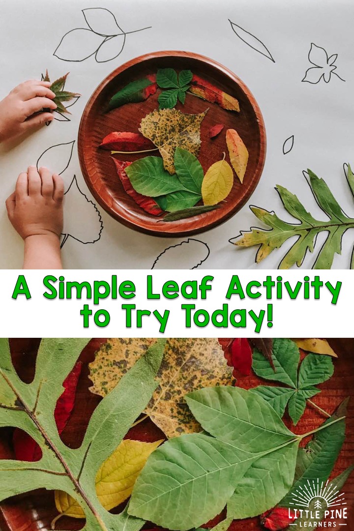 Simple leaf activity for kids!