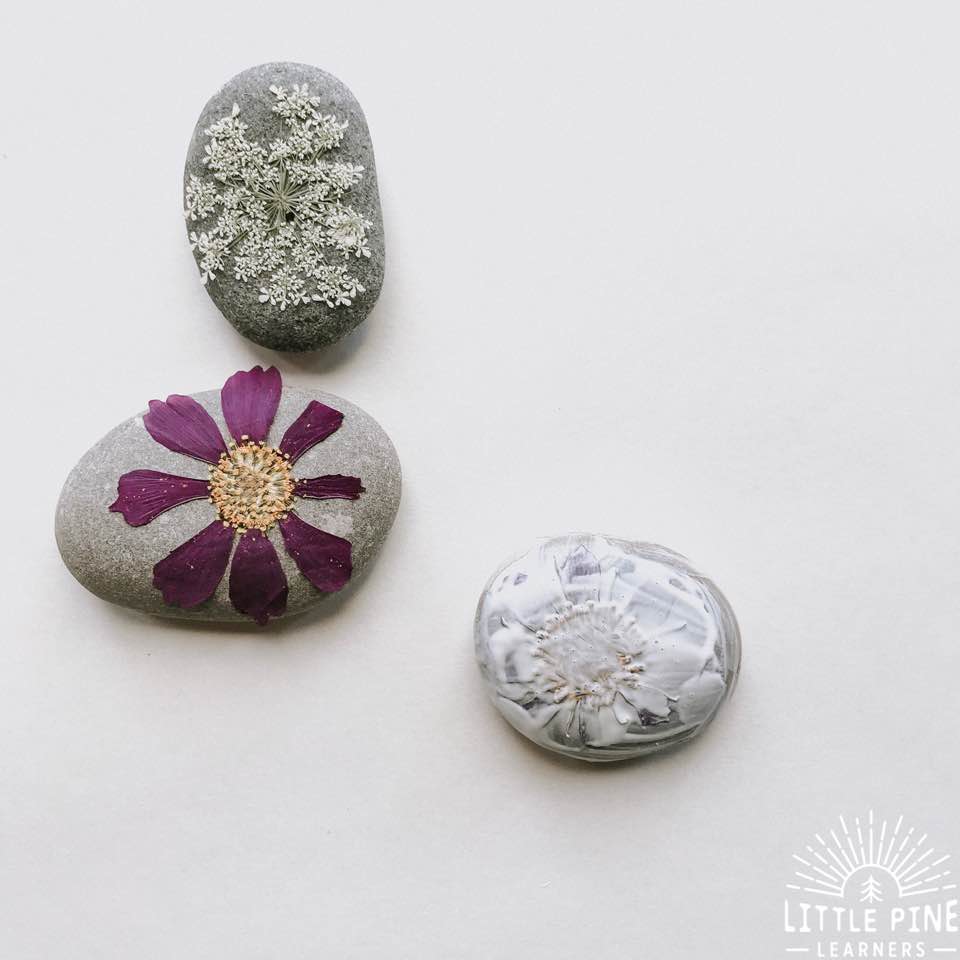 Pressed pieces of nature on rocks!