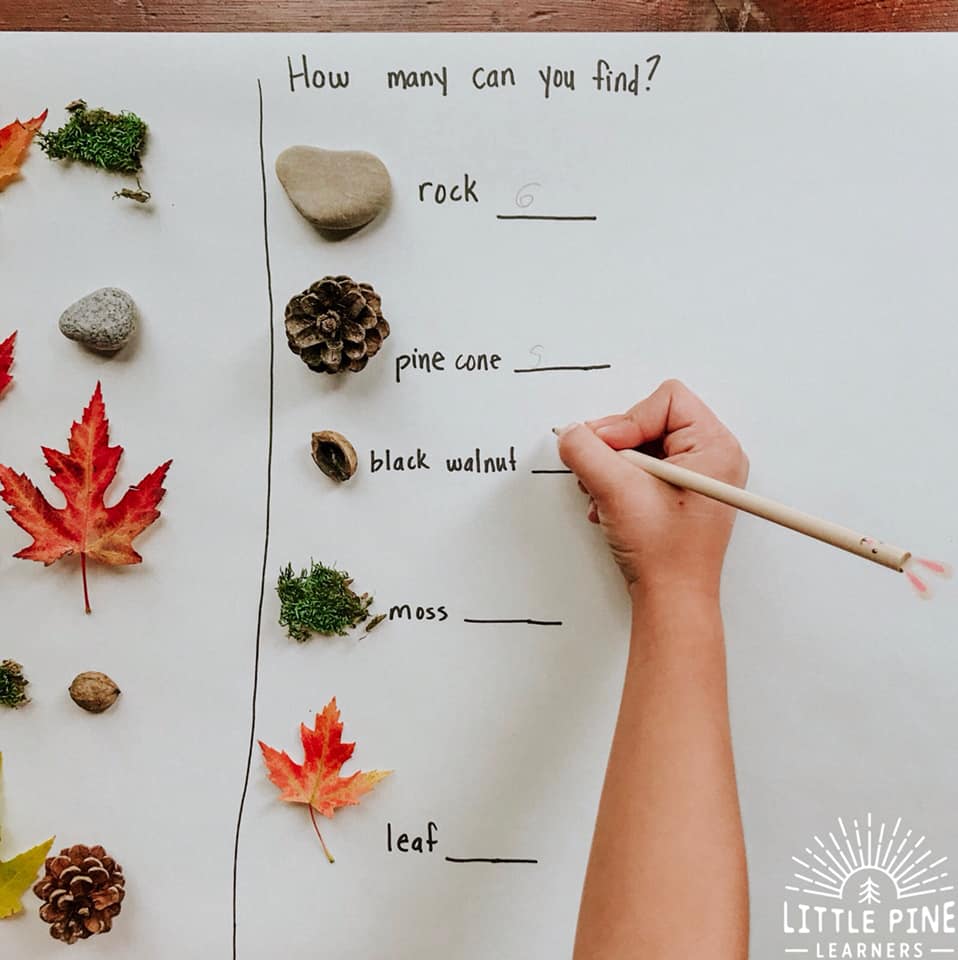 Here is a simple, inexpensive and beautiful nature math activity for kids! This is perfect for the homeschool or classroom setting and can be easily differentiated to meet the needs and interests of all young learners. If you love to bring the outdoors in then this one is for you!
