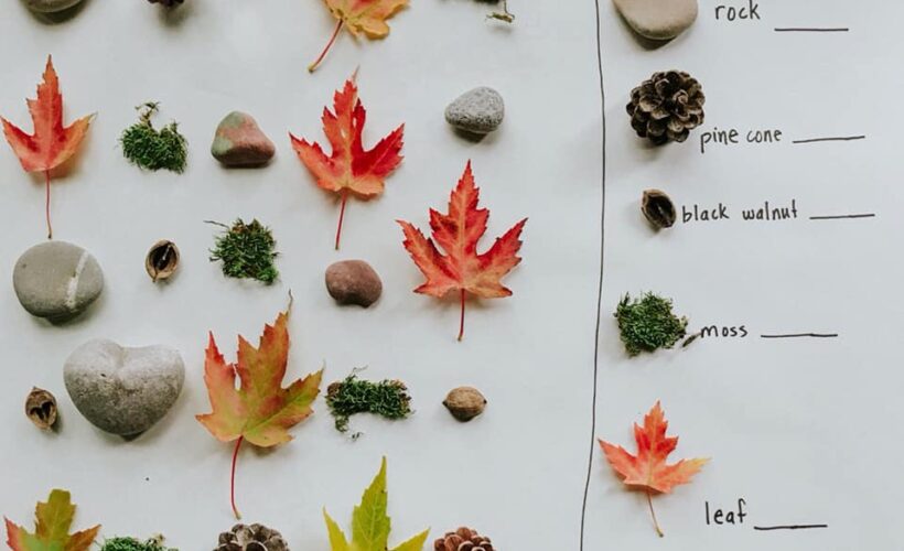 Here is a simple, inexpensive and beautiful nature math activity for kids! This is perfect for the homeschool or classroom setting and can be easily differentiated to meet the needs and interests of all young learners. If you love to bring the outdoors in then this one is for you!