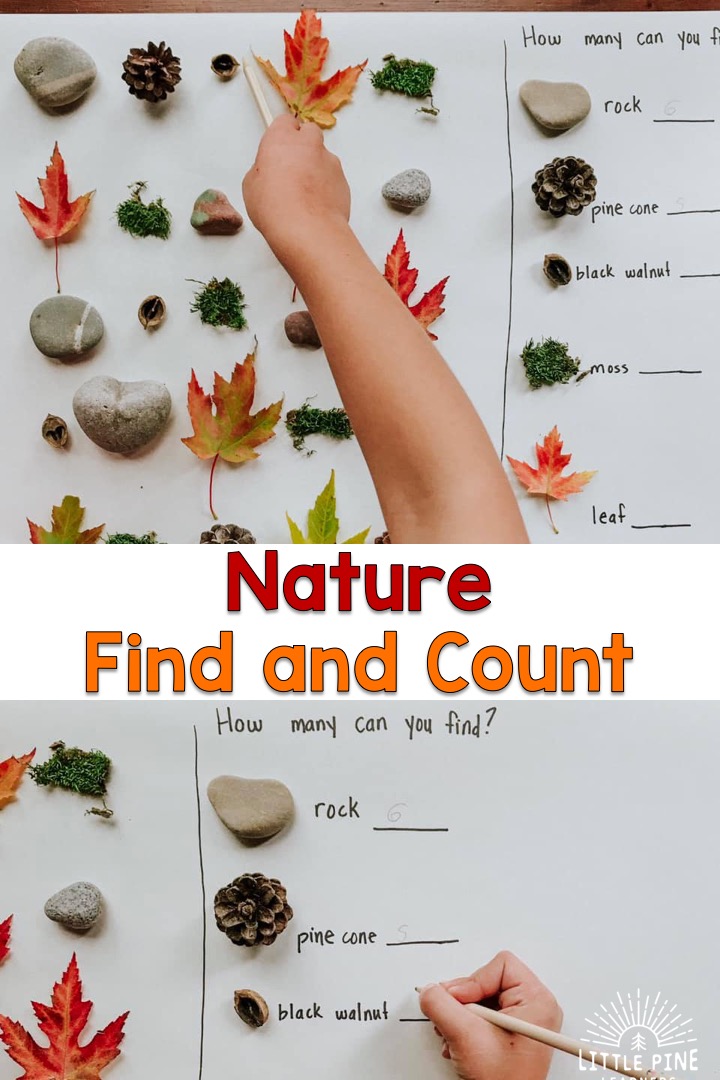 Here is a simple, inexpensive and beautiful nature math activity for kids! This is perfect for the homeschool or classroom setting and can be easily differentiated to meet the needs and interests of all young learners. 