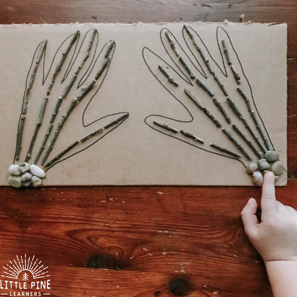 Try making a stick and stone skeleton sensory board this Halloween! This makes the perfect not-so spooky piece of wall art that children can touch and learn all about human bones. This is perfect for tactile learners who prefer learning through touch and tend to retain information better when some type of physical activity is involved. 