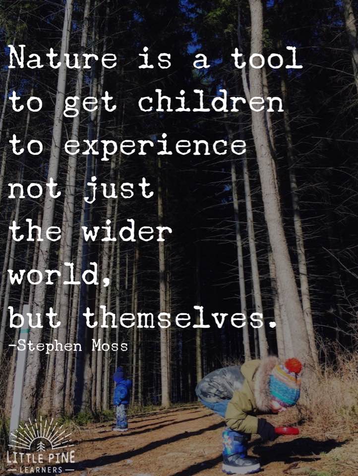 Here are 30 quotes about children and nature that will inspire outdoor play. After reading through these inspirational quotes, you'll be ready to get out into nature and climb trees, go rock hunting, and chase butterflies!