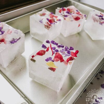 Ice Sensory Play with Flower Confetti