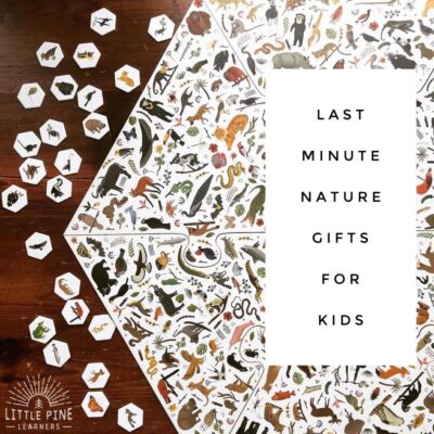 Last Minute Nature Gifts for Kids