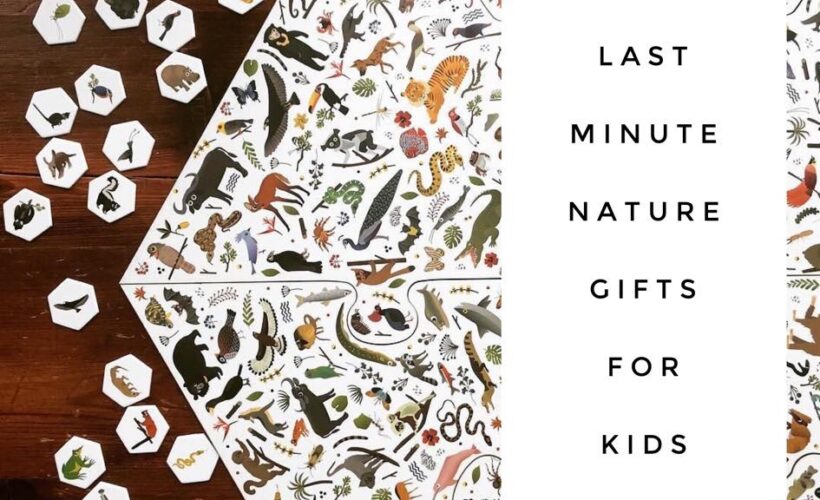 Here is a list of last minute gifts for nature loving kids! From board games to nature crafts to home decor, I included a little bit of everything.