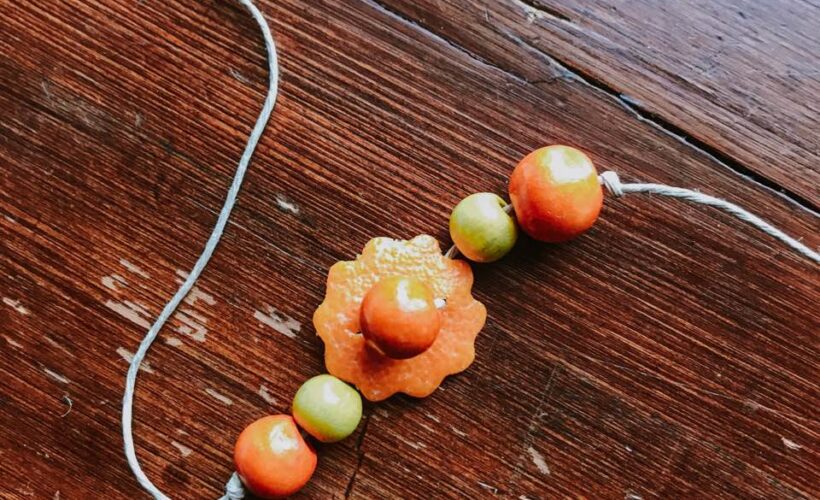Make these adorable pieces of winter solstice jewelry this winter! This easy nature craft is so fun to make and will quickly become a winter solstice tradition that your family will return to year after year. All you need is oranges and few other supplies to make your DIY jewelry! 