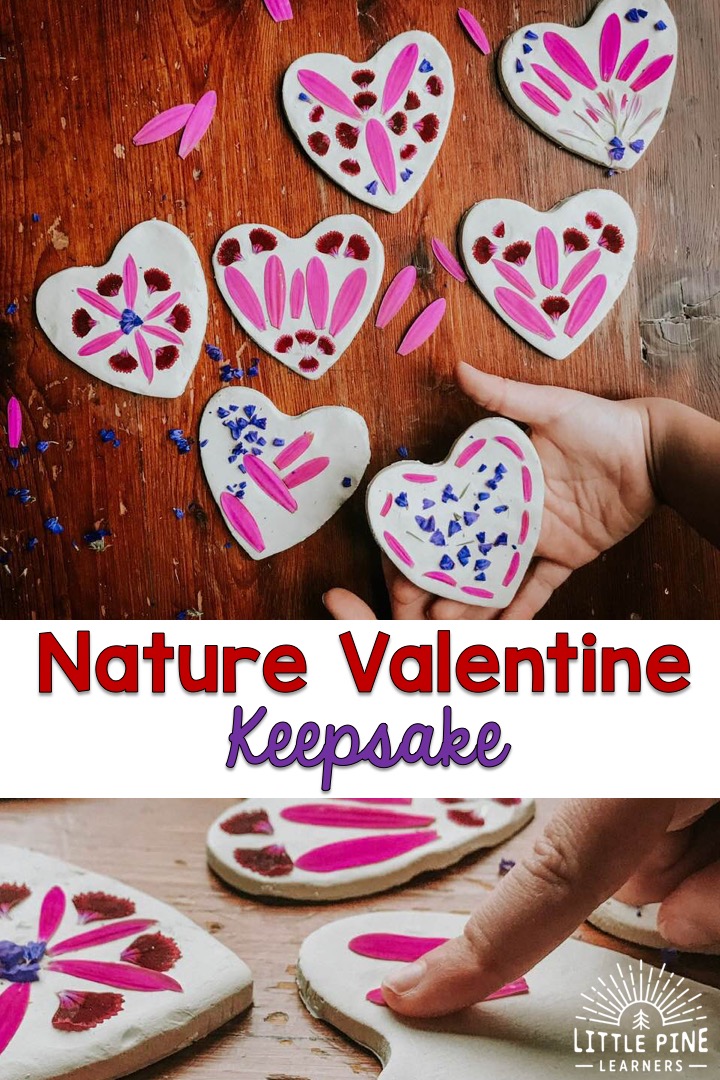 A Simple Nature Valentine Keepsake • Little Pine Learners