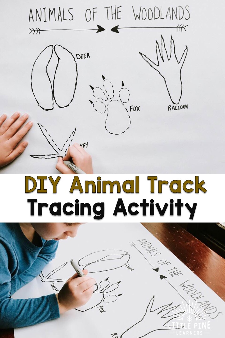 Animal track activity for kids!