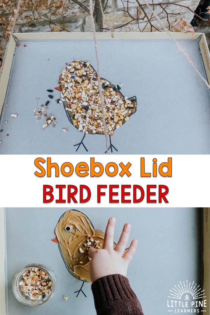 Simple bird feeder for kids!