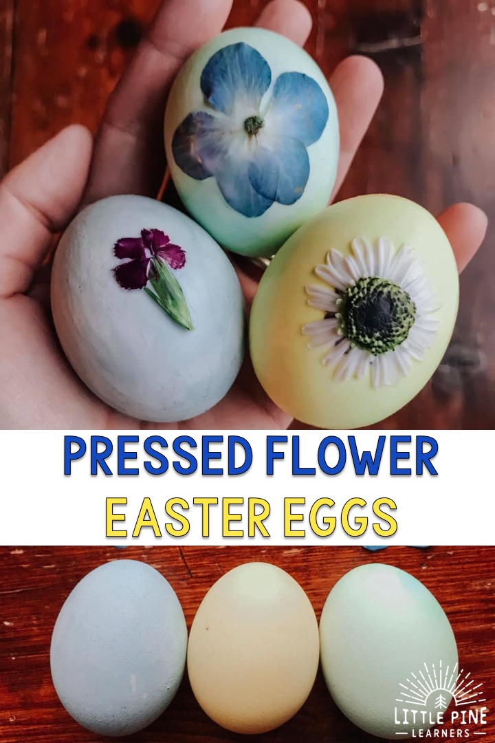 DIY Easter Eggs!