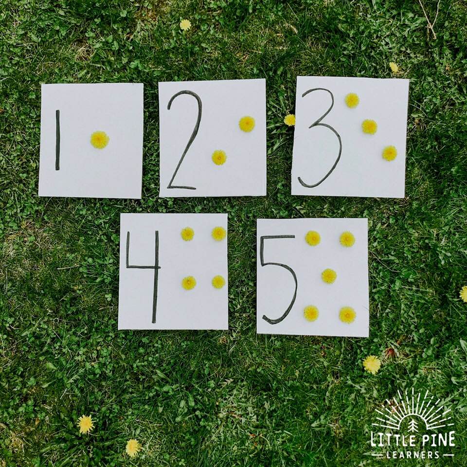 Check out these DIY dandelion tactile counting cards! They are so fun to create and help children learn number recognition, one-to-one correspondence, and other counting skills. They make a cute decoration and learning tool. Head outside to make them today!