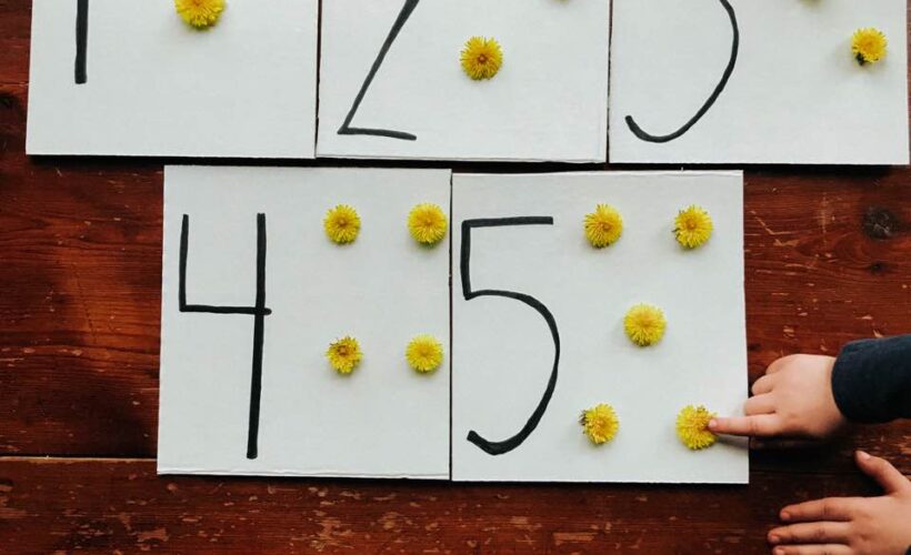 Check out these DIY dandelion tactile counting cards! They are so fun to create and help children learn number recognition, one-to-one correspondence, and other counting skills. They make a cute decoration and learning tool. Head outside to make them today!