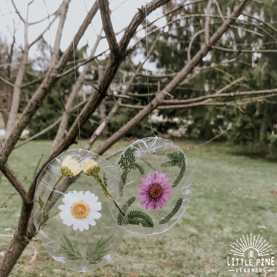 Beautiful nature suncatchers made out of pantry containers.