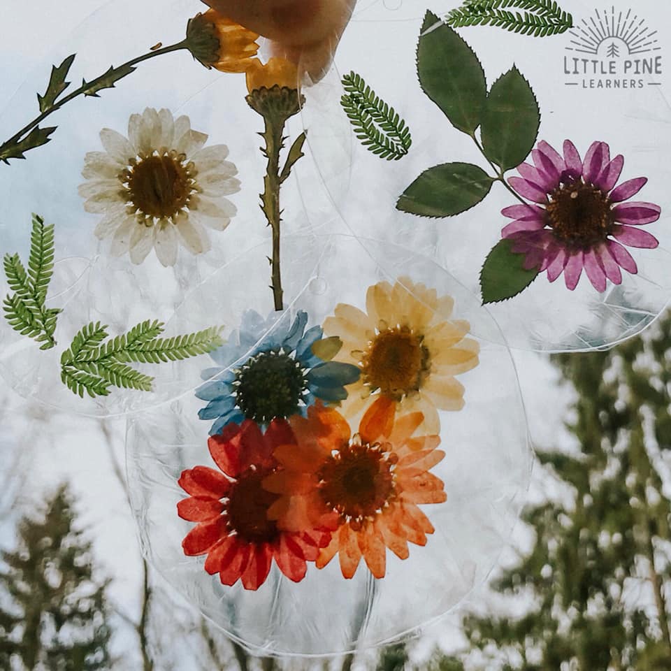 Beautiful nature suncatchers made out of pantry containers.
