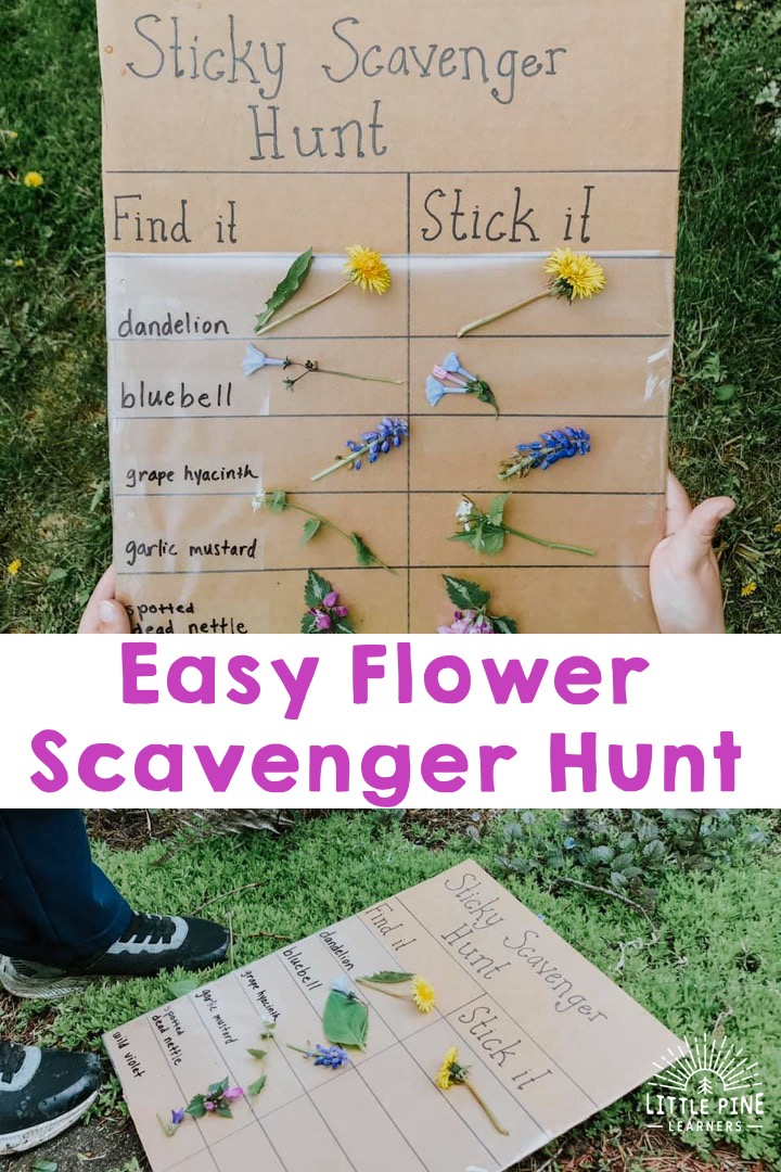Flower scavenger hunt!