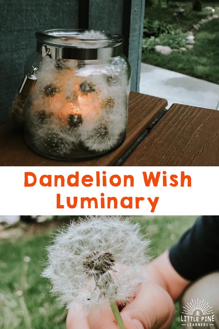 Stunning dandelion wish luminary!