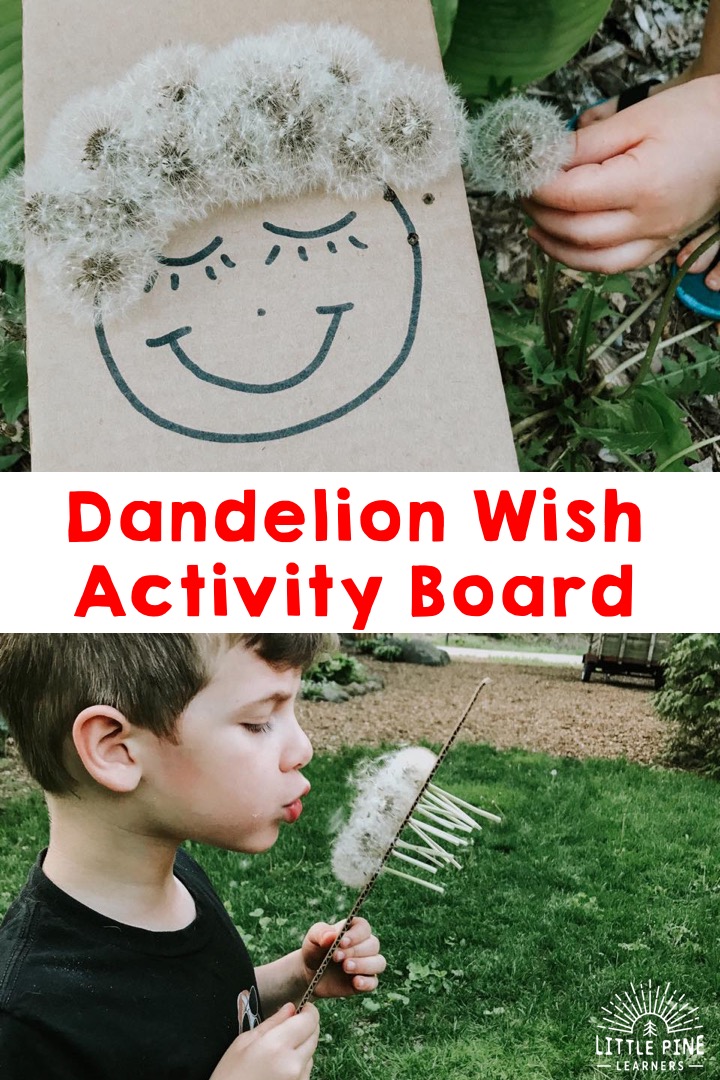 Who doesn't love making dandelion wishes?! Children are magnets to dandelion puffs and LOVE playing with them! Here is a fun outdoor activity for kids to try the next time your yard turns into a wonderland of puffy wishes.