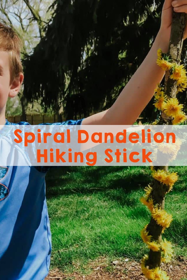 Here's a fun hiking accessory that will keep kids moving and exploring on the hiking trail. Try this activity when you want to get your kids outdoors in the spring. These dandelion hiking sticks are super easy to make and look beautiful when complete!
