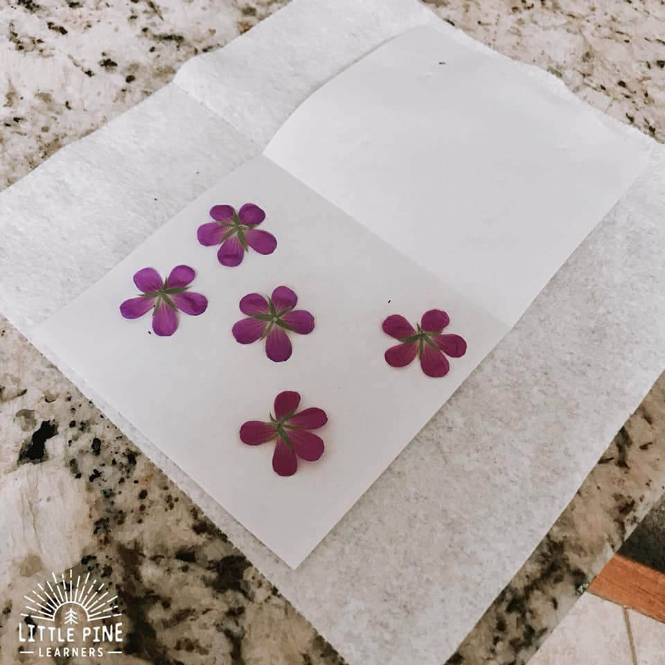 Microwave Flower Press Craft Set Activity Scrapbook Wedding Bookmark Gift New 