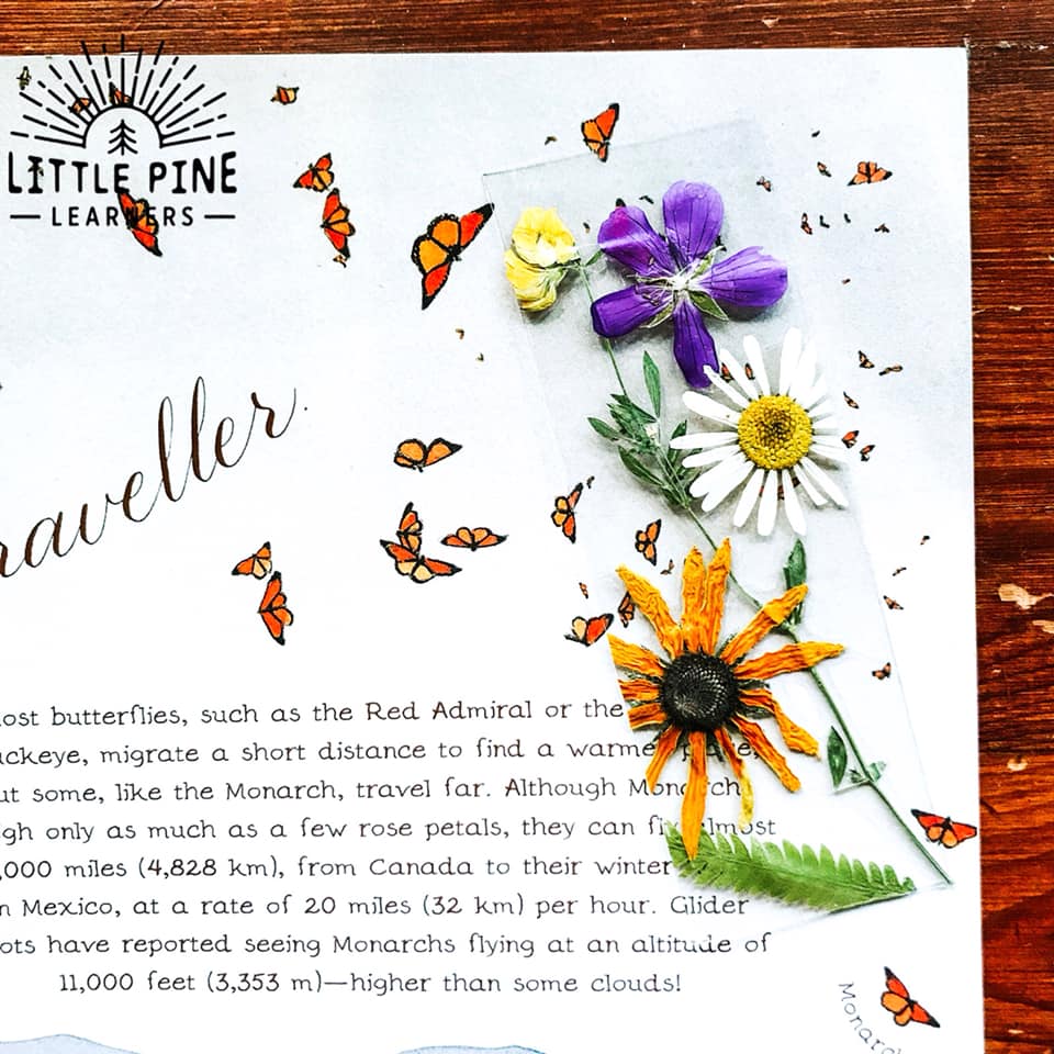 Encourage reading at home with this gorgeous DIY pressed flower bookmark! 
