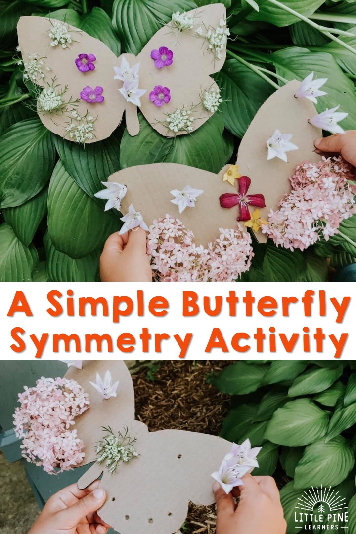 A simple butterfly symmetry activity for kids!
