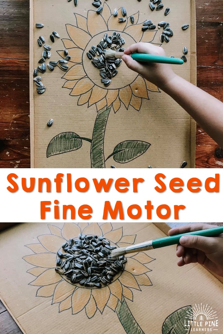 Fun sunflower activities for kids!