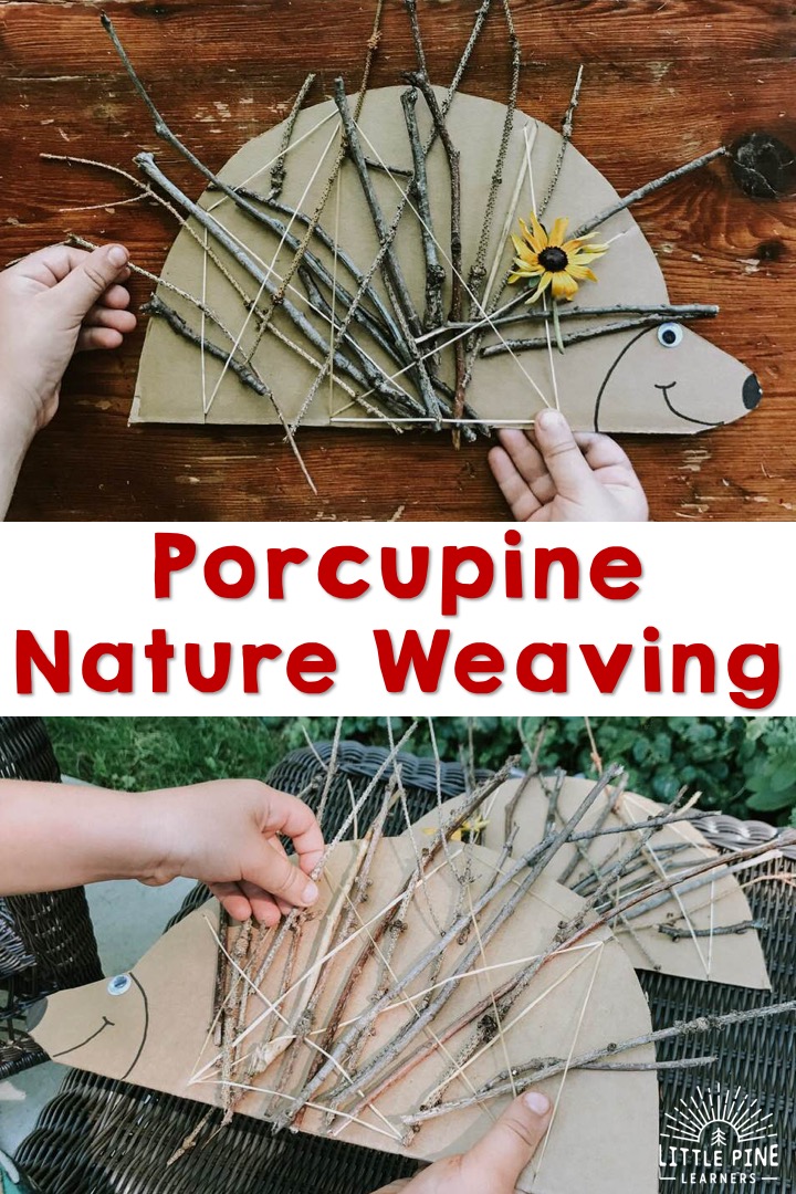 Nature weaving porcupine craft!