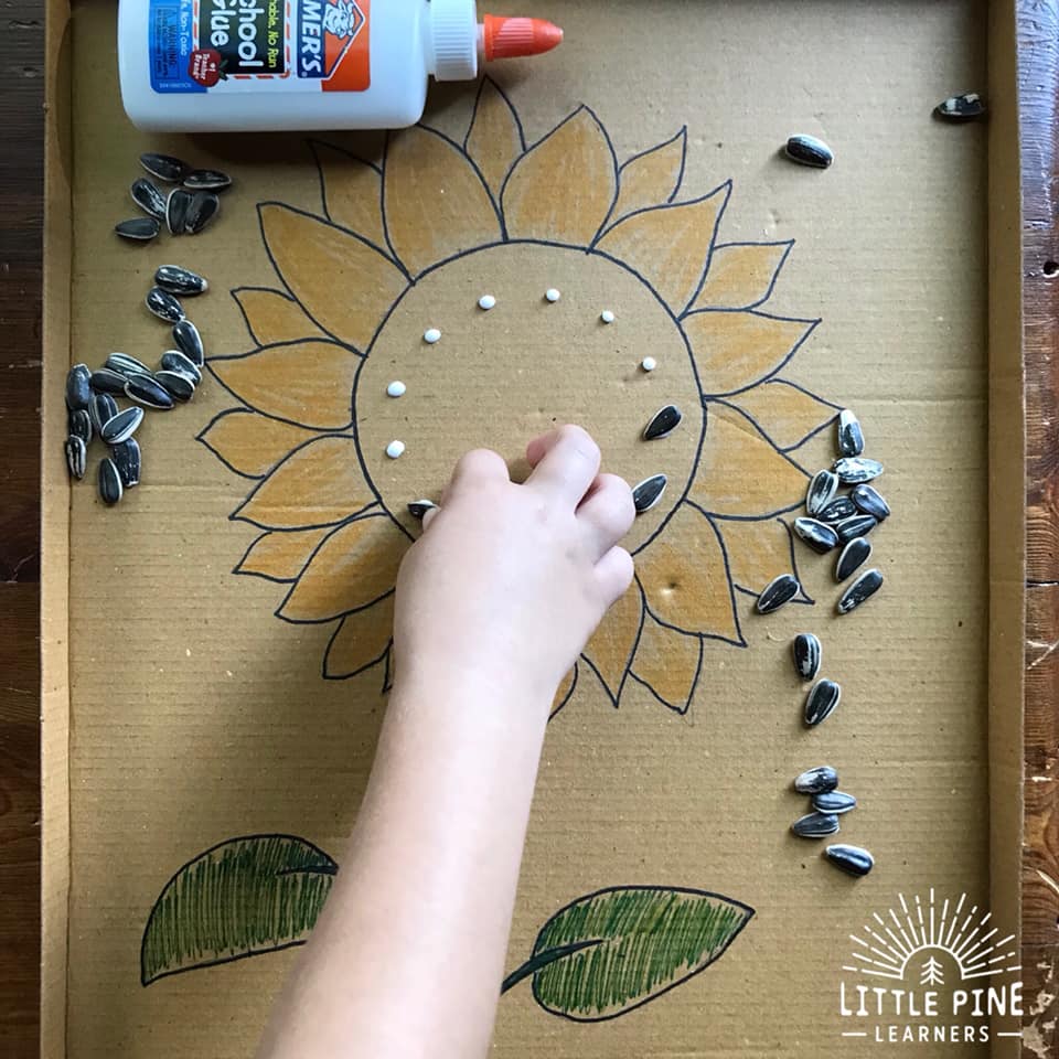Seed art for kids!