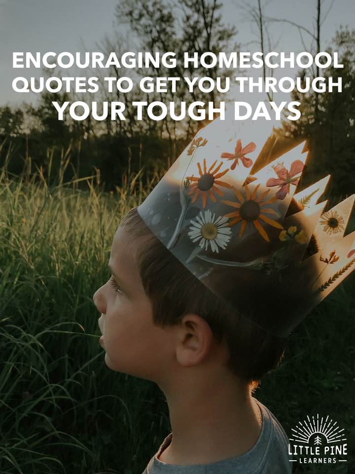 Check out this list of encouraging homeschooling quotes to get you through your tough days. Keep this post handy and you will always have inspiration at your fingertips!