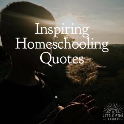 Inspiring Quotes For Homeschoolers, Virtual Learners, and Families