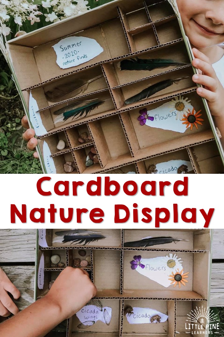 A DIY cardboard nature display!