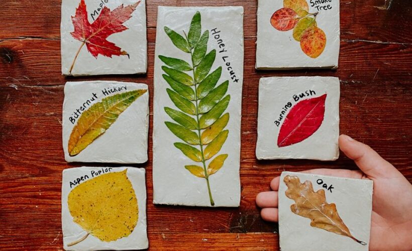 Check out this beautiful leaf identification activity for kids! These leaf tiles are the perfect addition to any nature table and offer a realistic visual of the different types of leaves. These are so easy to make and look beautiful when complete!