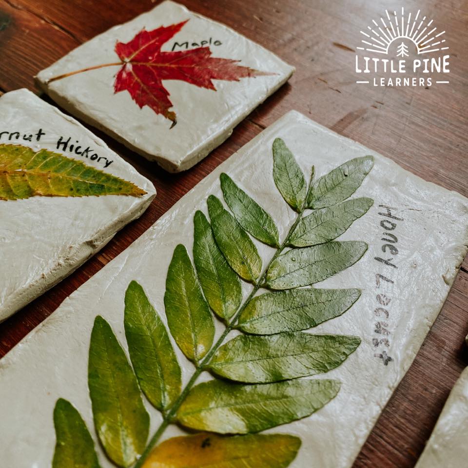 Check out this beautiful leaf identification activity for kids! These leaf tiles are the perfect addition to any nature table and offer a realistic visual of the different types of leaves. These are so easy to make and look beautiful when complete!
