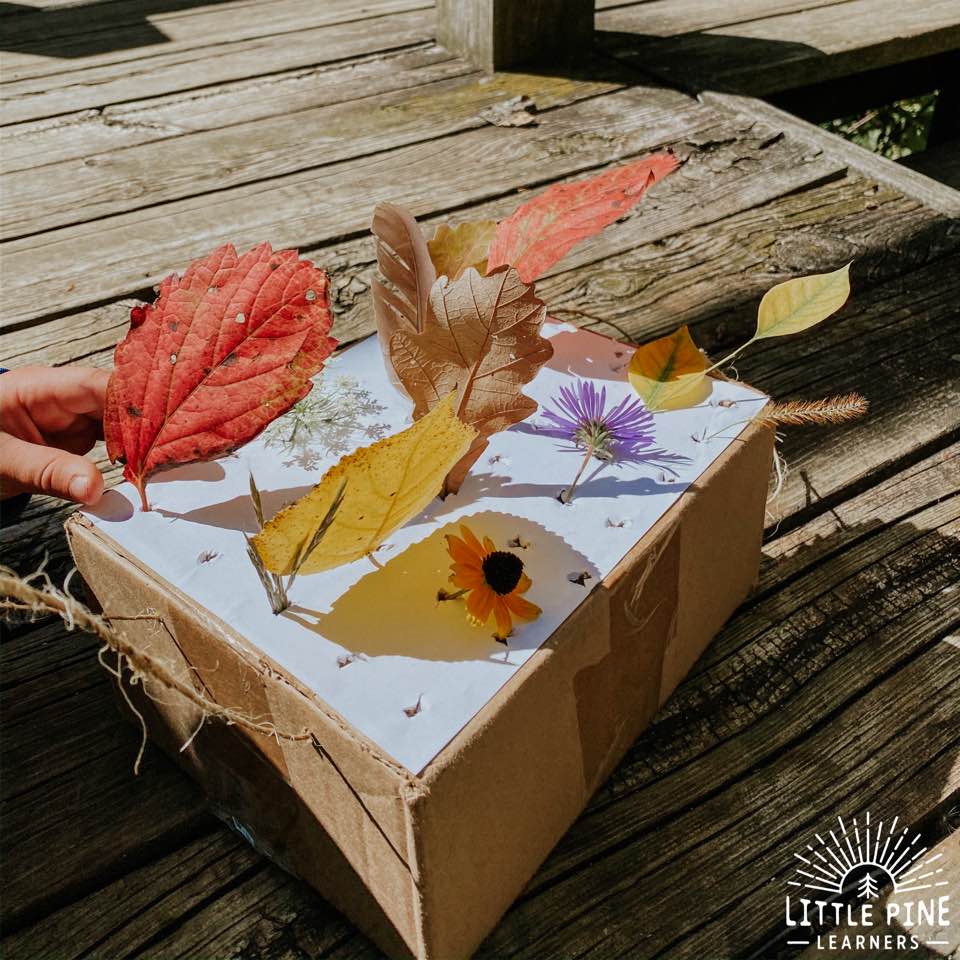 Try this fun fine motor activity for kids! This is perfect to try on a beautiful fall day, but will work for anytime of year. You can bring this on your next nature walk or use it to display nature finds in your home! Children will love rearranging their nature collection and adding new pieces as the year progresses.